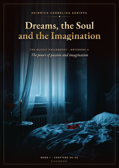 Dreams, the Soul and the Imagination
