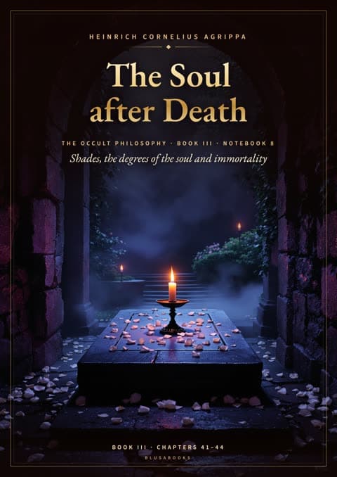 The Soul after Death